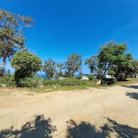 Calvi Mobil-Home Neuf Particulier Sur Camping Lumio  Eksteriør billede